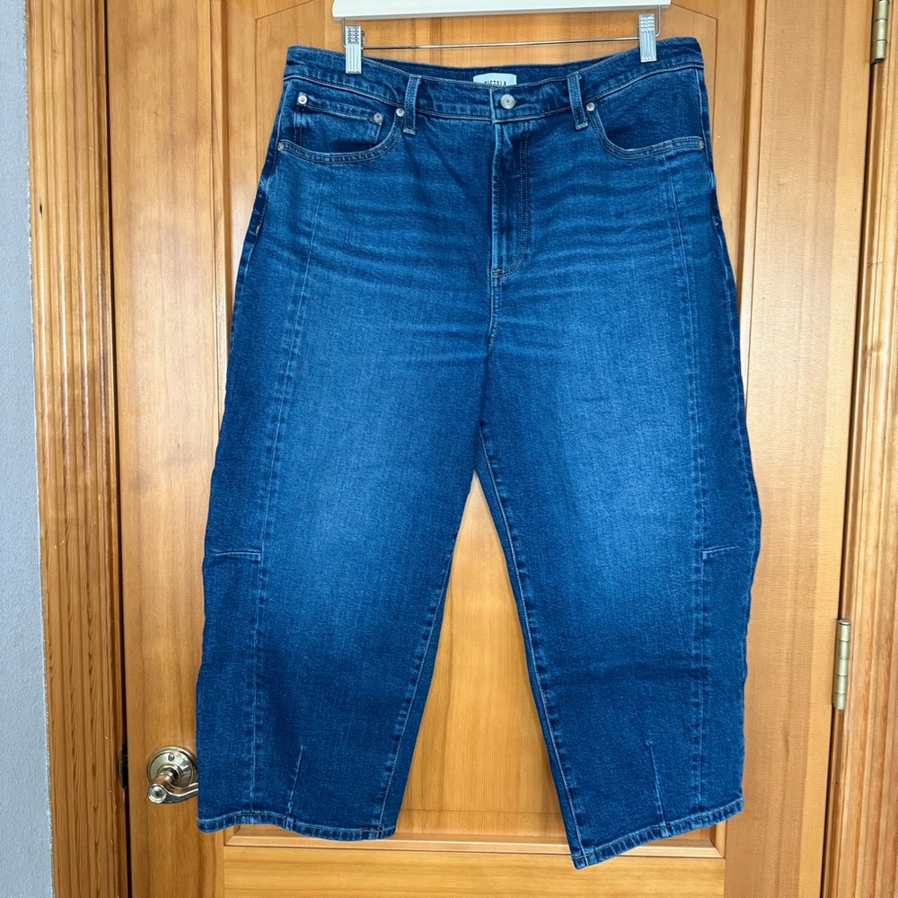Anthropologie Pistola Eli High Rise Barrel Leg Jeans Sz 33P Mixer Medium Wash